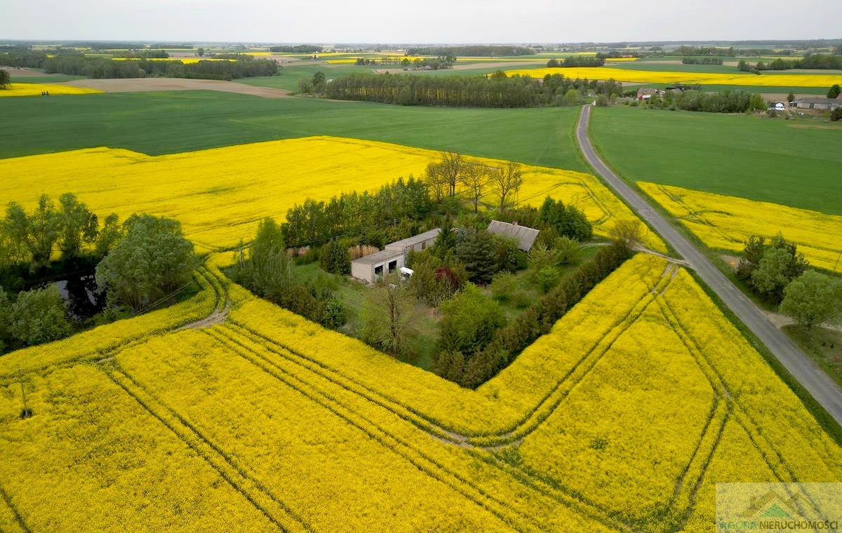 Siedlisko na sprzedaż, gm.Stara Biała