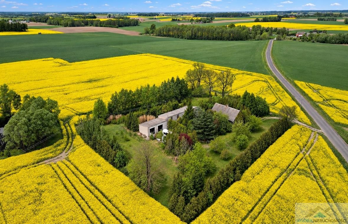 Siedlisko na sprzedaż, gm.Stara Biała